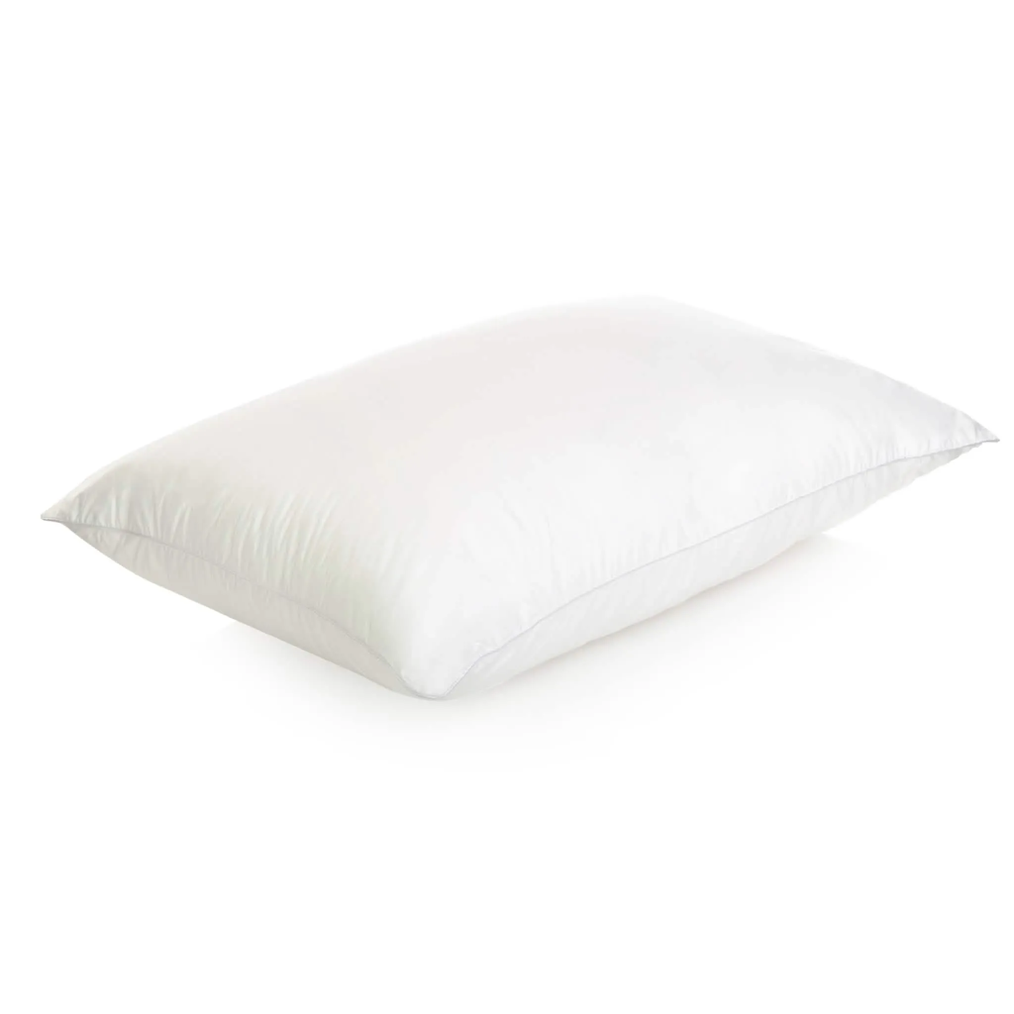 Dreams to Go Lunar Pillow