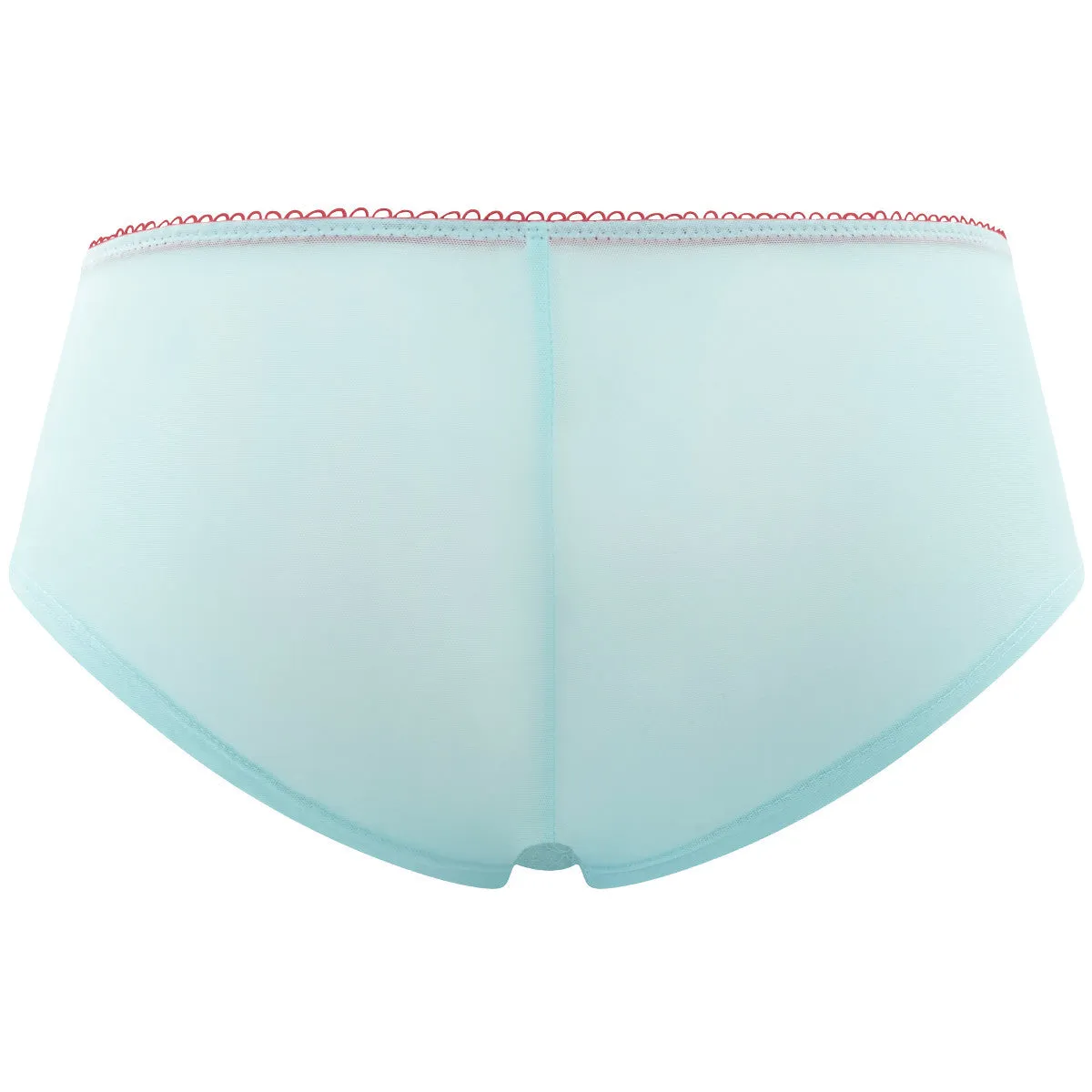 Skye Aqua Blue Brief Panty - Cleo